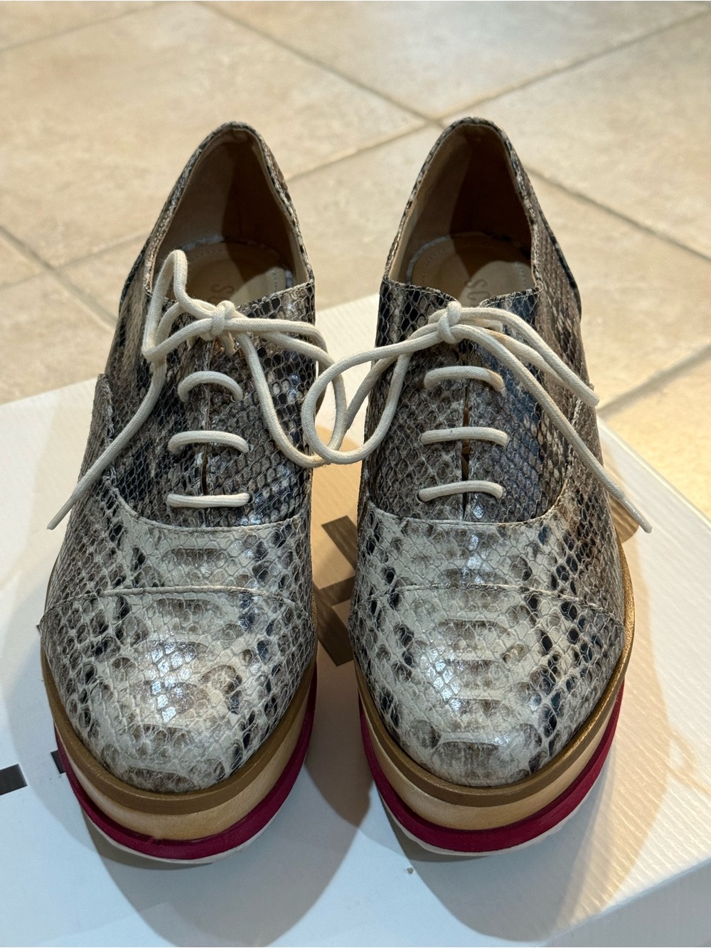 SCHUTZ Snake-Print Platform Lace-Up Oxfords with Pink Accent